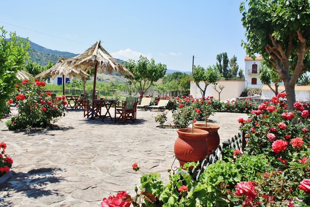 Villa Vicky Petra  Exterior foto